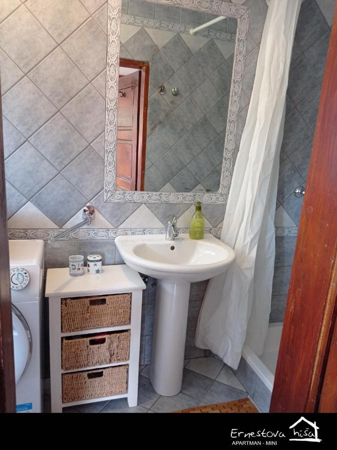 Apartment Ernestova Hisa Lokve Kültér fotó