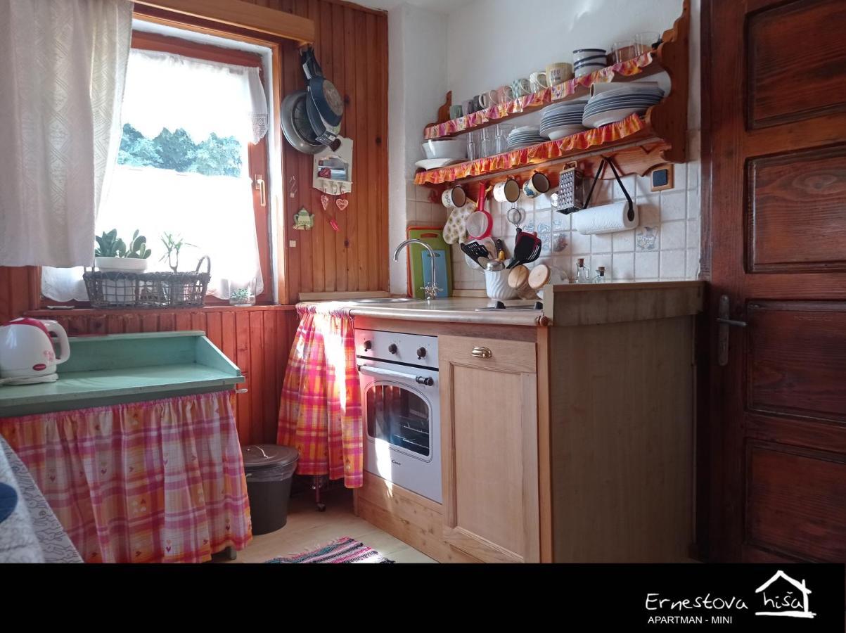 Apartment Ernestova Hisa Lokve Kültér fotó