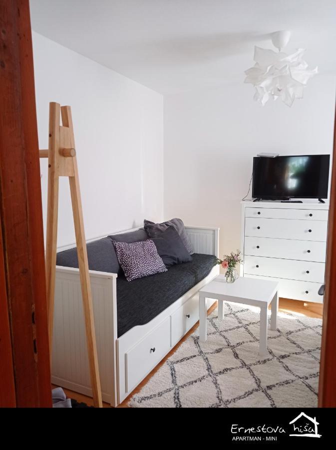 Apartment Ernestova Hisa Lokve Kültér fotó